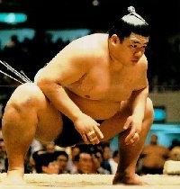 Sumo